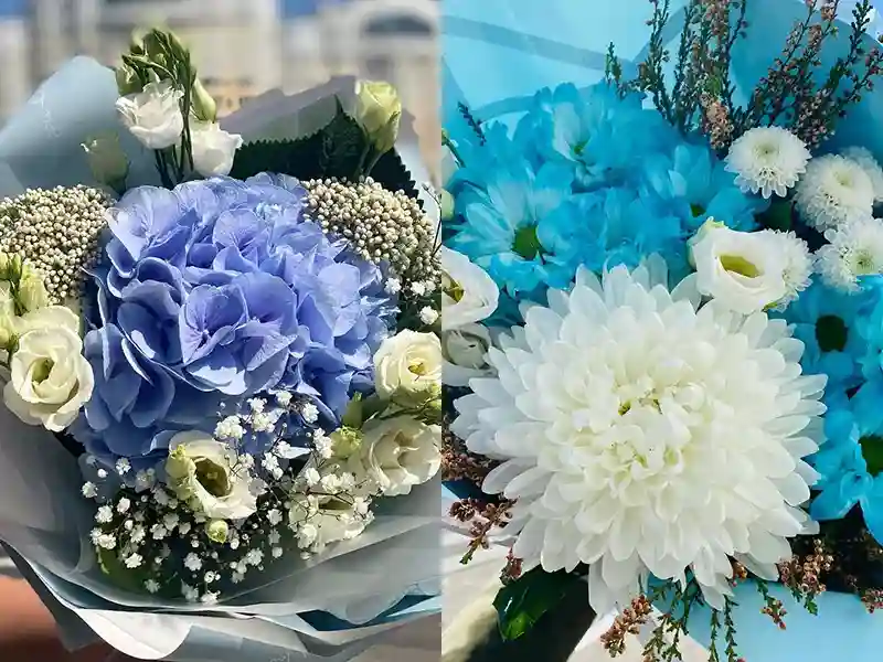 ООО МультиФлора