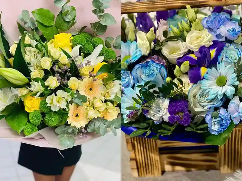 ООО МультиФлора