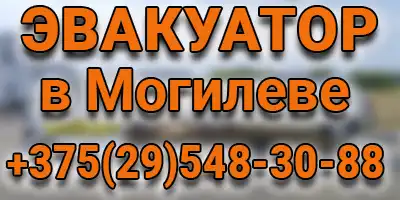 ИП Дмитриев