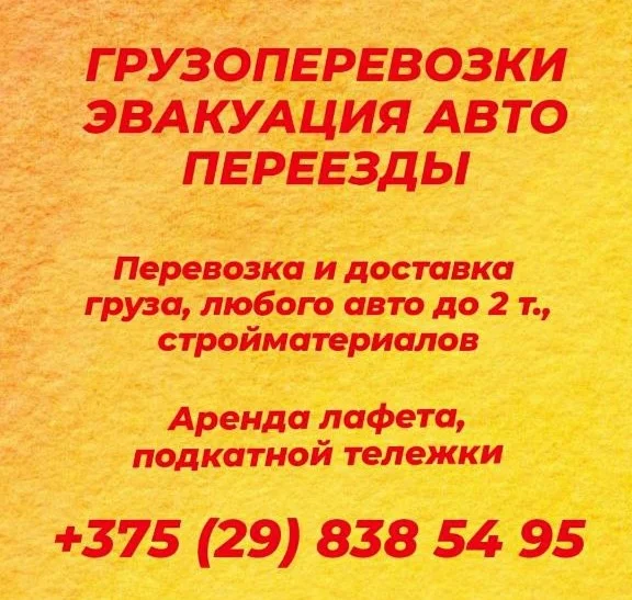 ИП Говзич