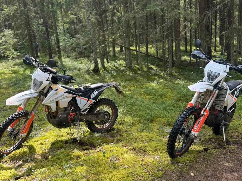 ИП Гайшунов