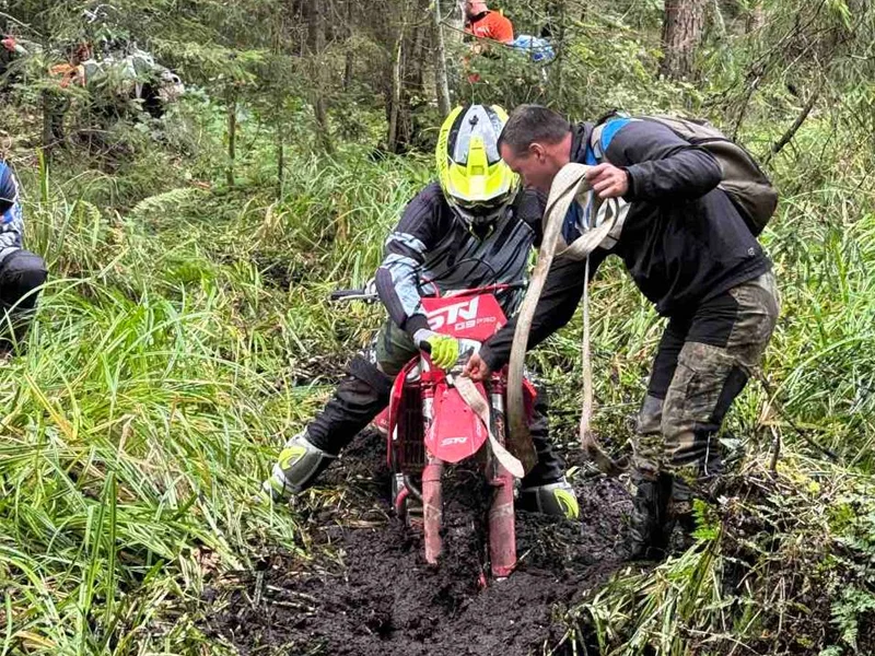 ИП Гайшунов