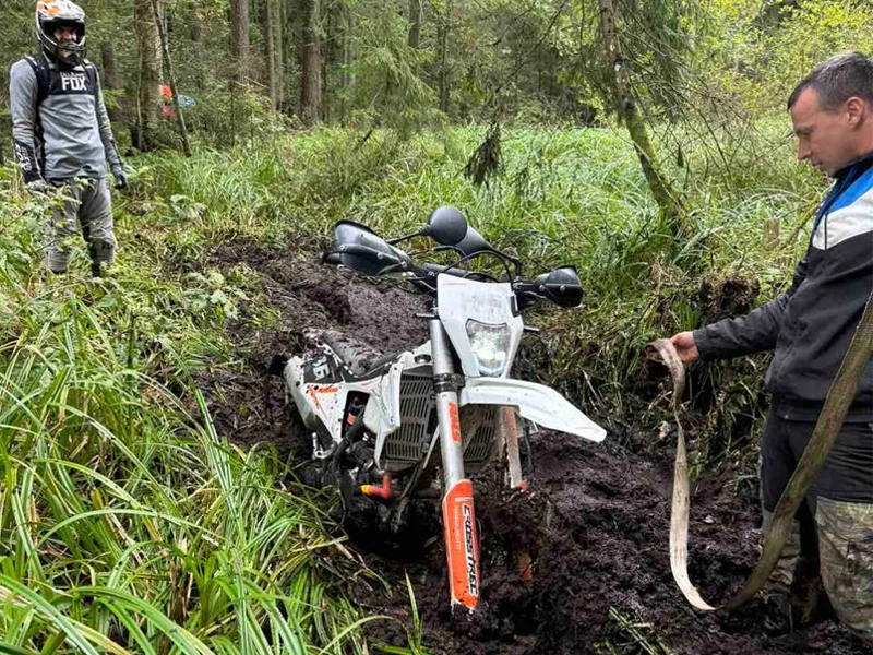 ИП Гайшунов