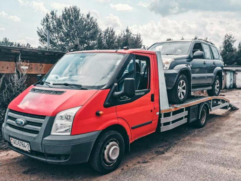 ИП Малашонок 