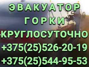 ИП Михальченко