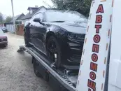ИП Антонович