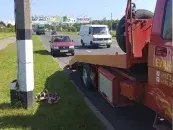 ИП Орлов