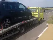 ИП Трипуть