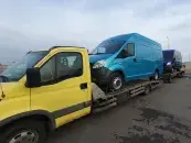 ИП Левонок