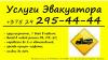 ИП Левонок