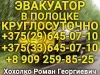 ИП Хохолко