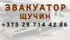 ИП Павлюкевич