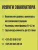 ИП Трипуть