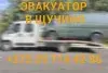 ИП Павлюкевич