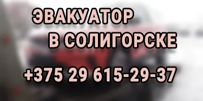 ИП Грицевич 