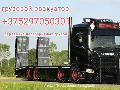 ИП Януш