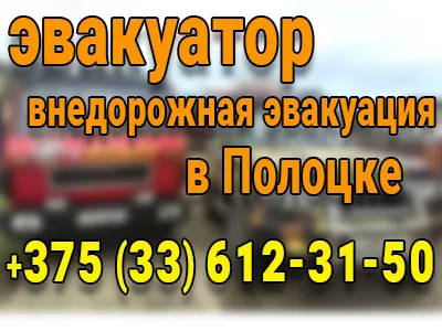 ИП Орлов